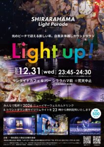 【2025-26南紀白浜】光のビーチでカウントダウン開催!どんな内容?花火はあるの?