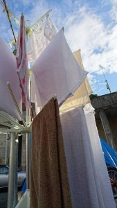 久しぶりのええ天気〜！