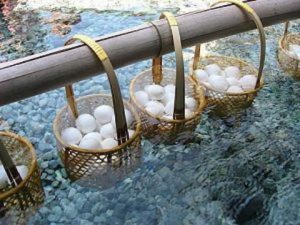 南紀白浜でおすすめの温泉卵を紹介！