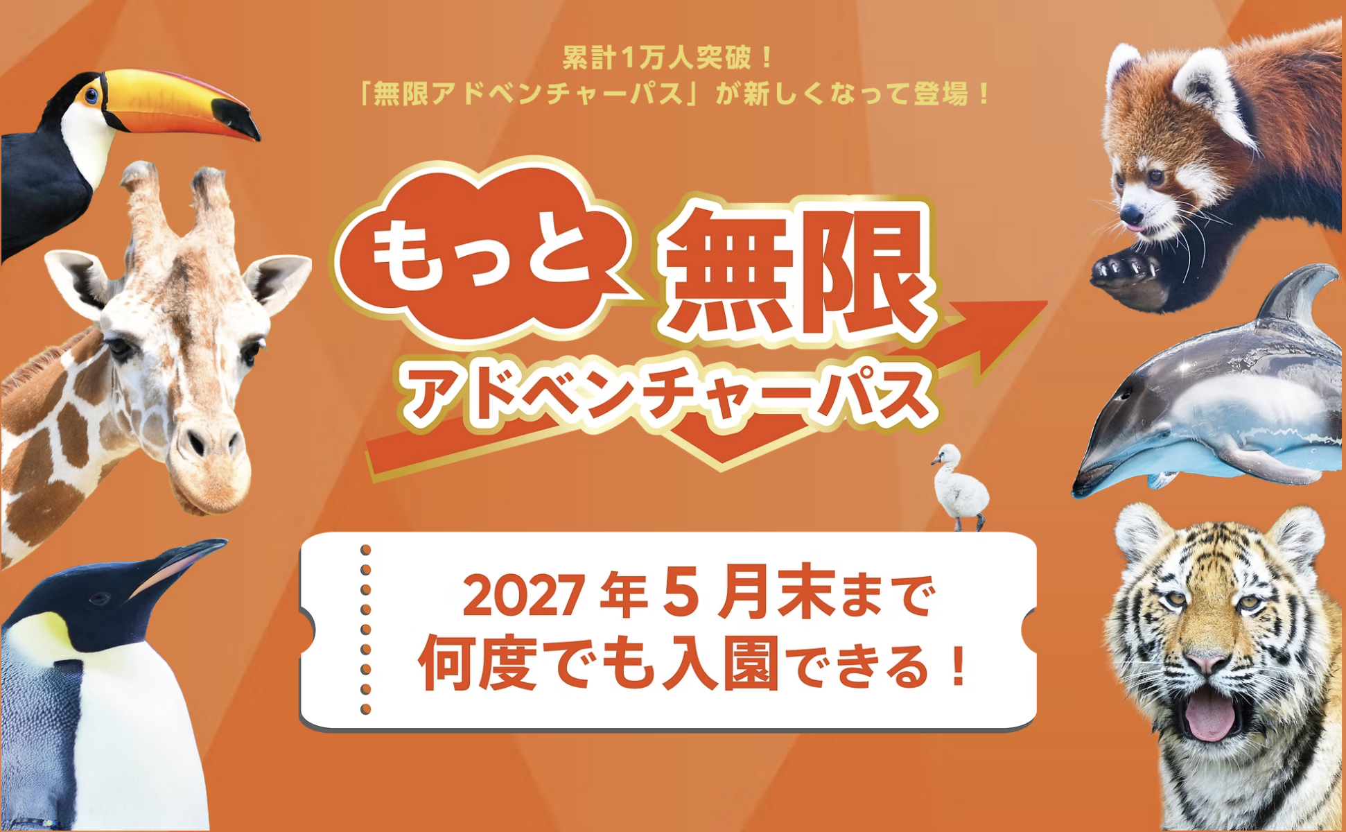 もっと無限アドベンチャーパス