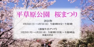 【南紀白浜】桜まつり2024へ行こう！