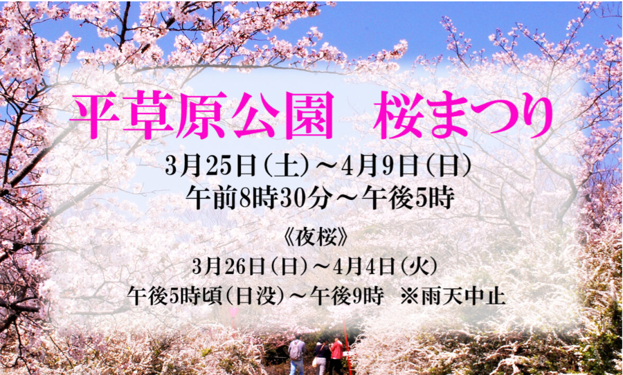 【2023年3月】平草原公園桜まつり｜3月25日（土）～4月9日（日）